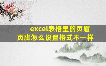 excel表格里的页眉页脚怎么设置格式不一样