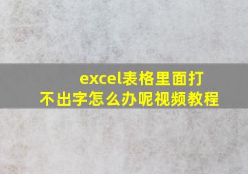 excel表格里面打不出字怎么办呢视频教程