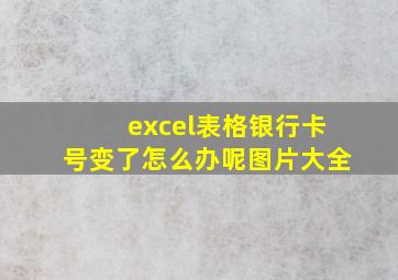 excel表格银行卡号变了怎么办呢图片大全