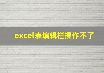 excel表编辑栏操作不了