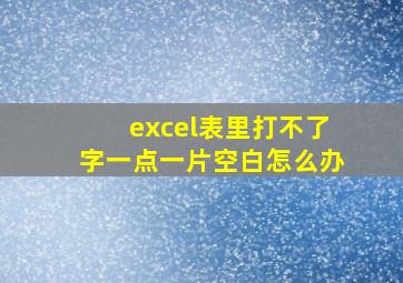 excel表里打不了字一点一片空白怎么办