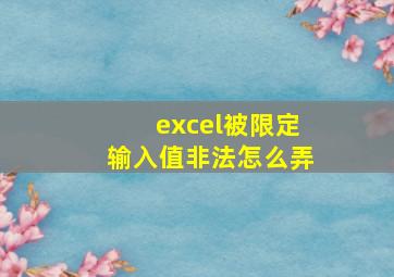 excel被限定输入值非法怎么弄