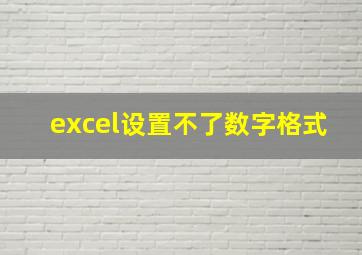 excel设置不了数字格式