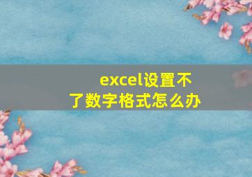 excel设置不了数字格式怎么办