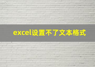 excel设置不了文本格式