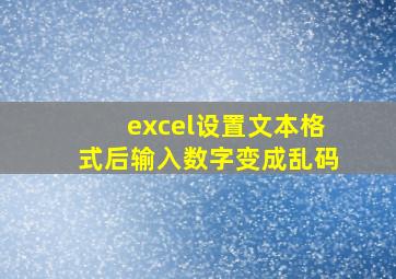 excel设置文本格式后输入数字变成乱码