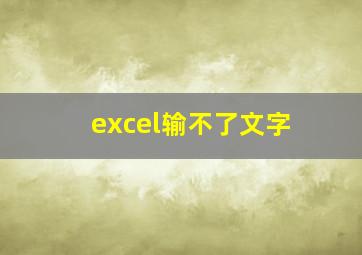 excel输不了文字