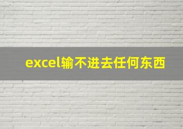 excel输不进去任何东西