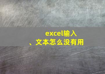 excel输入、文本怎么没有用