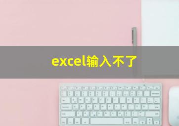 excel输入不了