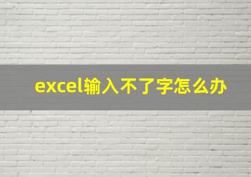 excel输入不了字怎么办