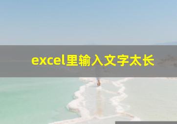 excel里输入文字太长