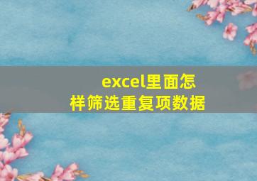 excel里面怎样筛选重复项数据