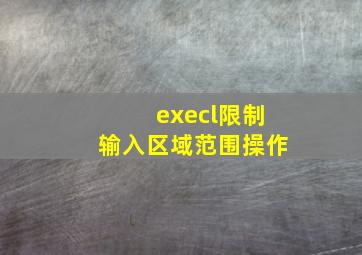 execl限制输入区域范围操作