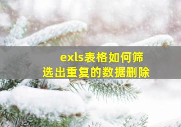 exls表格如何筛选出重复的数据删除