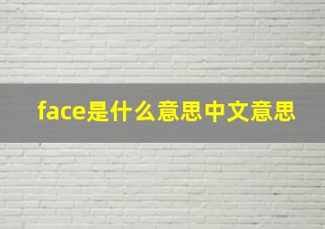 face是什么意思中文意思