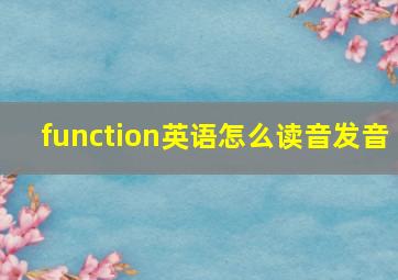 function英语怎么读音发音