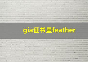 gia证书里feather