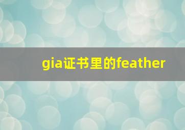 gia证书里的feather