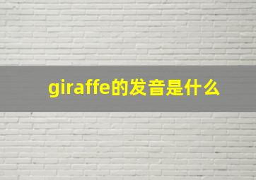 giraffe的发音是什么