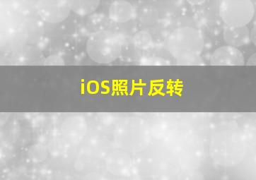 iOS照片反转