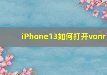 iPhone13如何打开vonr