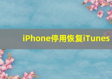 iPhone停用恢复iTunes