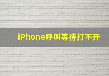 iPhone呼叫等待打不开