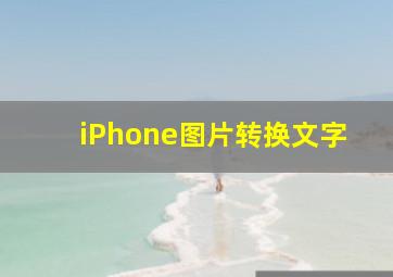 iPhone图片转换文字