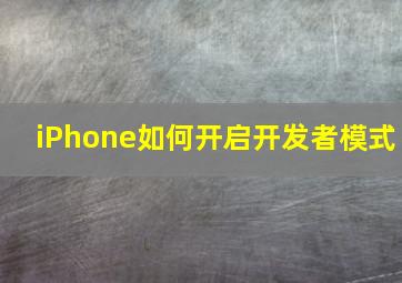 iPhone如何开启开发者模式