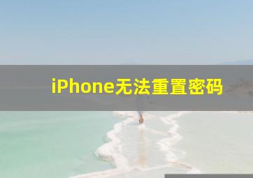 iPhone无法重置密码