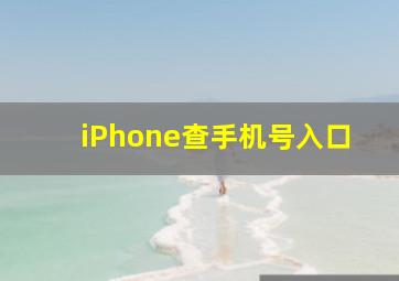 iPhone查手机号入口