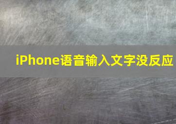 iPhone语音输入文字没反应