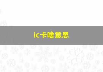 ic卡啥意思