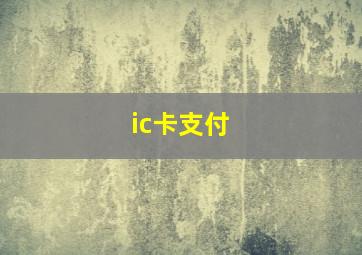 ic卡支付