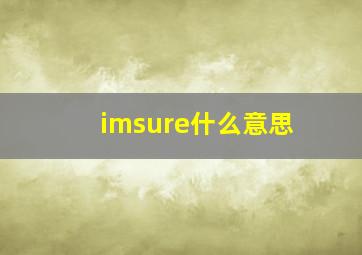 imsure什么意思