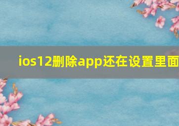 ios12删除app还在设置里面