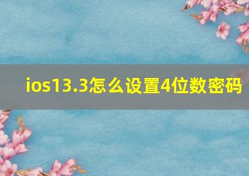 ios13.3怎么设置4位数密码