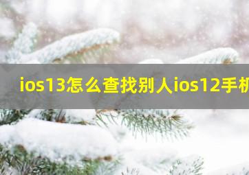 ios13怎么查找别人ios12手机