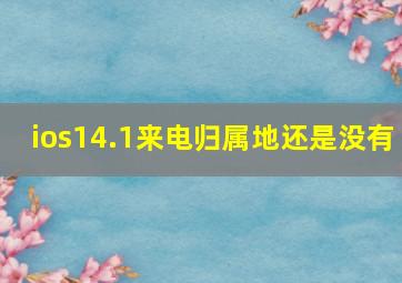 ios14.1来电归属地还是没有