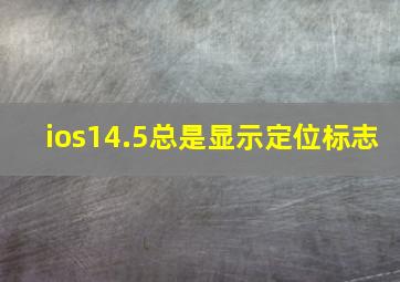 ios14.5总是显示定位标志