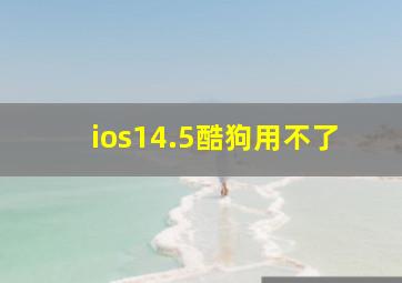 ios14.5酷狗用不了