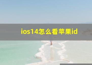 ios14怎么看苹果id