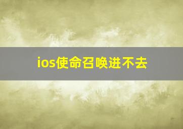 ios使命召唤进不去