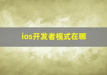 ios开发者模式在哪