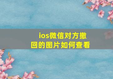 ios微信对方撤回的图片如何查看