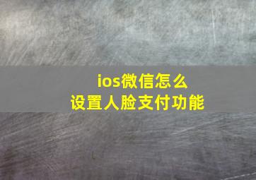 ios微信怎么设置人脸支付功能