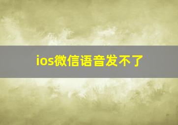 ios微信语音发不了