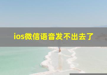 ios微信语音发不出去了