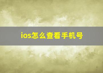 ios怎么查看手机号